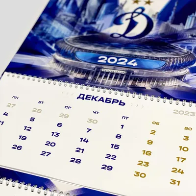 Календарь Арт и Дизайн одноблочный 29,5х42 см на 2024 год - купить с  доставкой по выгодным ценам в интернет-магазине OZON (1125203831)