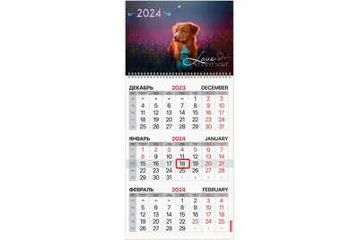 Минтруд опубликовал календарь на следующий год | 22.06.2023 | Муравленко -  БезФормата