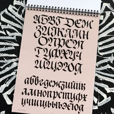 Экспрессивная каллиграфия. 20 стилей для практики – Study Calligraphy —  инструменты и материалы для каллиграфии и леттеринга