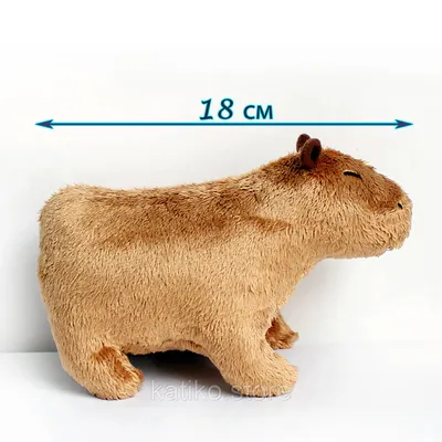 Капибара 3D модель - Скачать Животные на 3DModels.org