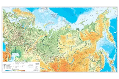 Купить карту России с морением и гравировкой из натурального дерева