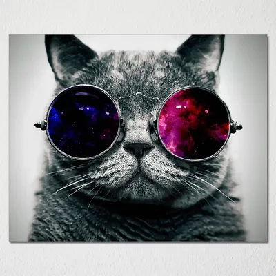 Картинку кот в очках