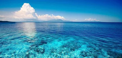 Фантастические факты о морях — интересные статьи — Magicwaters