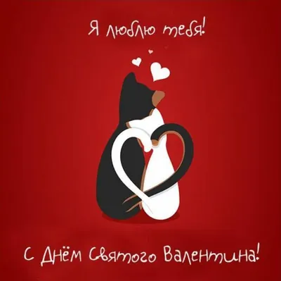 День святого Валентина: картинки, валентинки, стихи для поздравления  любимых в 2021 году - sib.fm