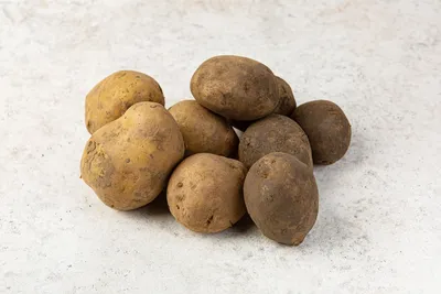 Как правильно выбрать качественный картофель | Управления Роспотребнадзора  по Рязанской области
