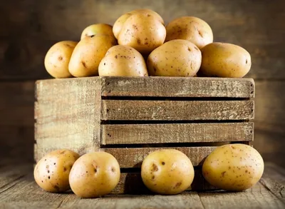 На українському ринку ціна картоплі б'є десятирічні рекорди - LANDLORD