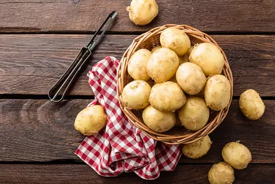 Картопля. Користь картоплі та рецепти страв з картоплі від Євгена Клопотенка