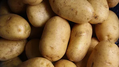 Варёно-жареная картошка со специями - Лайфхакер