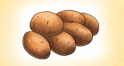 Почему картошка мелкая, или Чего не хватило картофелю? Выбор сортов,  посадка, уход. Фото — Ботаничка