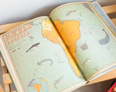 Карты. Путешествие в картинках по континентам, морям и культурам мира. 4-е  издание