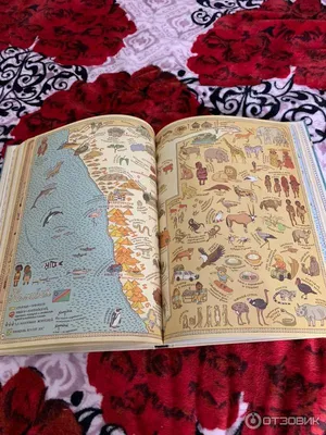 Книга \"Путешествие в картинках по континентам, морям и культурам мира\" -  купить в Германии | BOOQUA.de