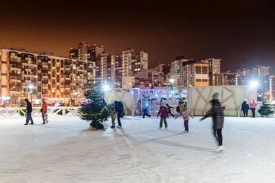 Каток «Альпийский лед» в Москве | A-a-ah.ru