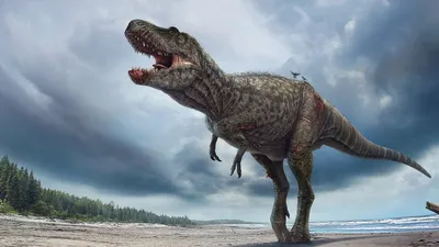 Самой большой хищный динозавр | Динозавры мелового периода вики | Fandom
