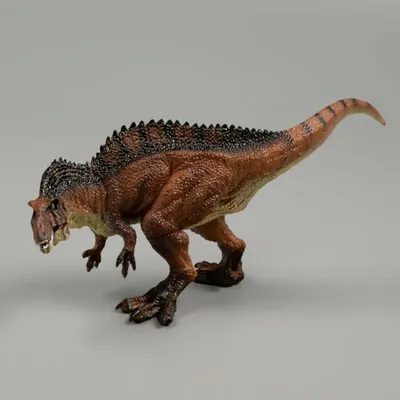 Палеонтологи измерили точную скорость бега хищных динозавров по их  окаменевшим следам - Наука - ТАСС