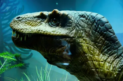 80 Most Dangerous Carnivorous Dinosaurs of the Mesozoic Era - YouTube
