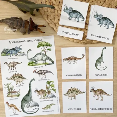 Крупные хищные динозавры вытеснили хищников среднего размера — ученые | ИА  Красная Весна