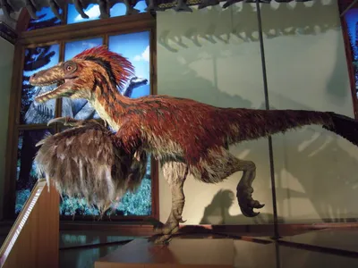 Крупнейшие хищные динозавры оказались искусными пловцами