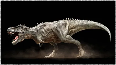 Science Advances: Хвост сэкономил динозавру энергию во время ходьбы