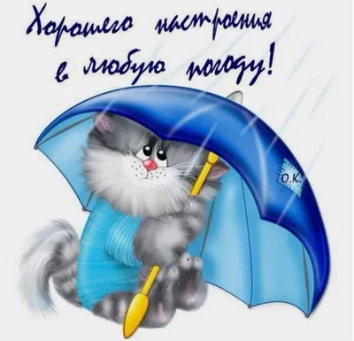 Картинка - Хорошего настроения в любую погоду!.