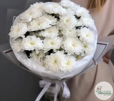 Обои хризантемы, цветы, белый, букет картинки на рабочий стол, фото скачать  бесплатно