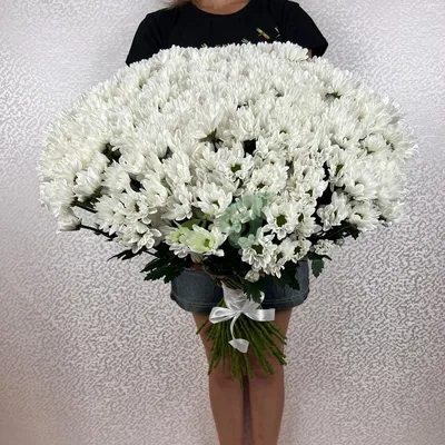 Букет «Хризантемы на 1 сентября» - заказать и купить за 2 500 ₽ с доставкой  в Сочи - партнер «Pink Flowers Premium»