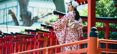 11 Kimono Patterns and Their Meanings | Japan Wonder Travel Blog