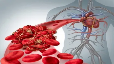 Состав крови, клетки крови. Эритроциты – онлайн-тренажер для подготовки к  ЕНТ, итоговой аттестации и ВОУД