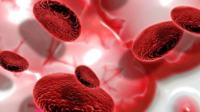 Иллюстрация 3d клеток крови PNG , ячейки, кроваво красный, Медицинское  лечение PNG картинки и пнг PSD рисунок для бесплатной загрузки