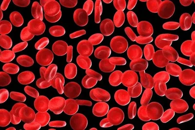 О чем расскажут клетки крови?