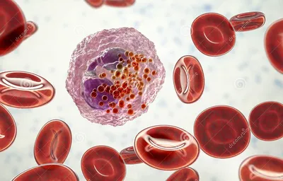 Плазматические клетки крови под микроскопом | Премиум Фото