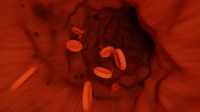 Ученые из Канады модифицировали клетки крови и сделав из них «клеточную  бомбу» с антибиотиками » ГТРК Вятка - новости Кирова и Кировской области