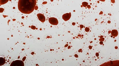 Кровь Тромбоциты Клетки Крови - Бесплатное изображение на Pixabay - Pixabay