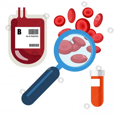 Клетки крови - материалы для подготовки к ЕГЭ по биологии
