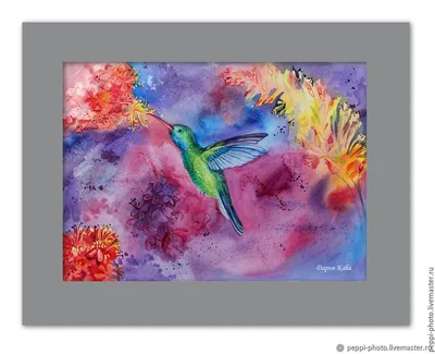Цветной рисунок клюва колибри на прозрачном фоне | Премиум PSD Файл