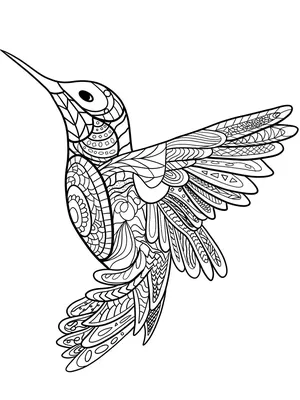 цифровой рисунок колибри изолирован Иллюстрация штока - иллюстрации  насчитывающей карточка, цвет: 225311221