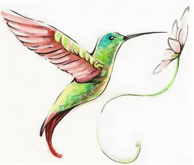 Рисунок колибри для срисовки - 71 фото