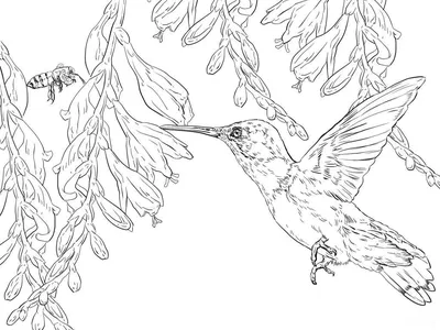 Черно-белый рисунок колибри с цветами, генеративный ai | Премиум Фото