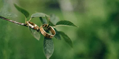 Обручальные кольца с лунным камнем - купить по выгодной цене в Whitelake
