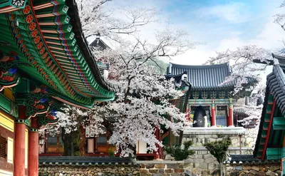 Южная Корея - путеводитель, туры, отели, билеты, экскурсии, кухня