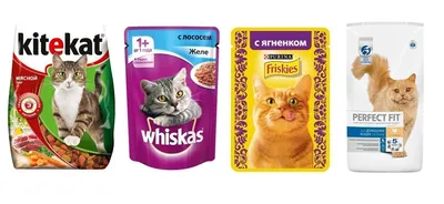 Лучшие влажные корма для кошек — обзор качественных кошачьих консервов:  виды и бренды