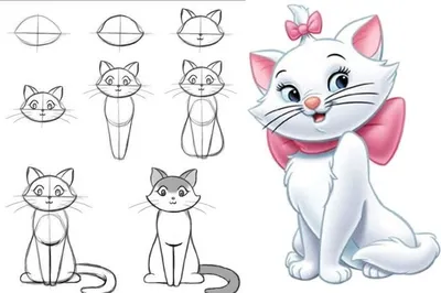 Имена для котов и клички для кошек со смыслом: подборка красивых и  популярных вариантов