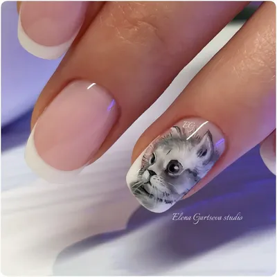 Хрустальная \"кошка\" на ногтях | Дизайнерские ногти, Ногти, Маникюр
