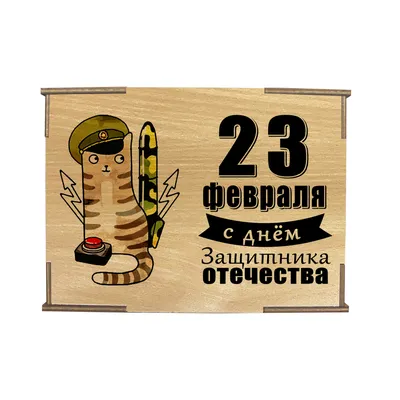 Коробка №4 \"23 февраля с днём защитника отечества Кот с ракетой 2 \", бук
