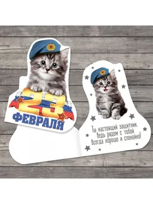 Ну до чего же хорошо быть мужчиной! Особенно 23 февраля 😻 | Синие коты  Рины Зенюк | ВКонтакте