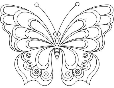Бабочка рисунок - 73 фото