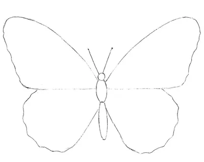 Волшебная бабочка рисунок - 66 фото