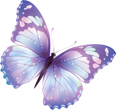 Вектор Красивые Бабочки — стоковая векторная графика и другие изображения  на тему Бабочка - Бабочка, Украшенный, Абстрактный - iStock