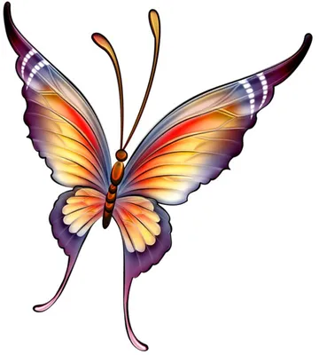 Картинка для торта Красивые бабочки pr0075 печать на съедобной бумаге |  Edible-printing.ru