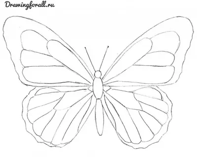 как нарисовать красивую бабочку карандашом | Артбуки, Уроки рисования,  Вдохновляющее искусство