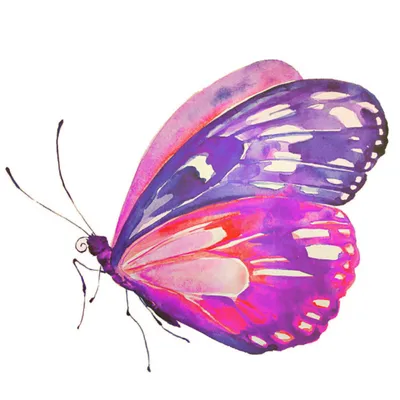 Милые бабочки голубые бабочки нежные бабочки красивые бабочки PNG , бабочка,  нежные бабочки, акварельные бабочки PNG картинки и пнг PSD рисунок для  бесплатной загрузки